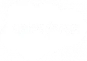 salesforce-logo-banner-300x211.png